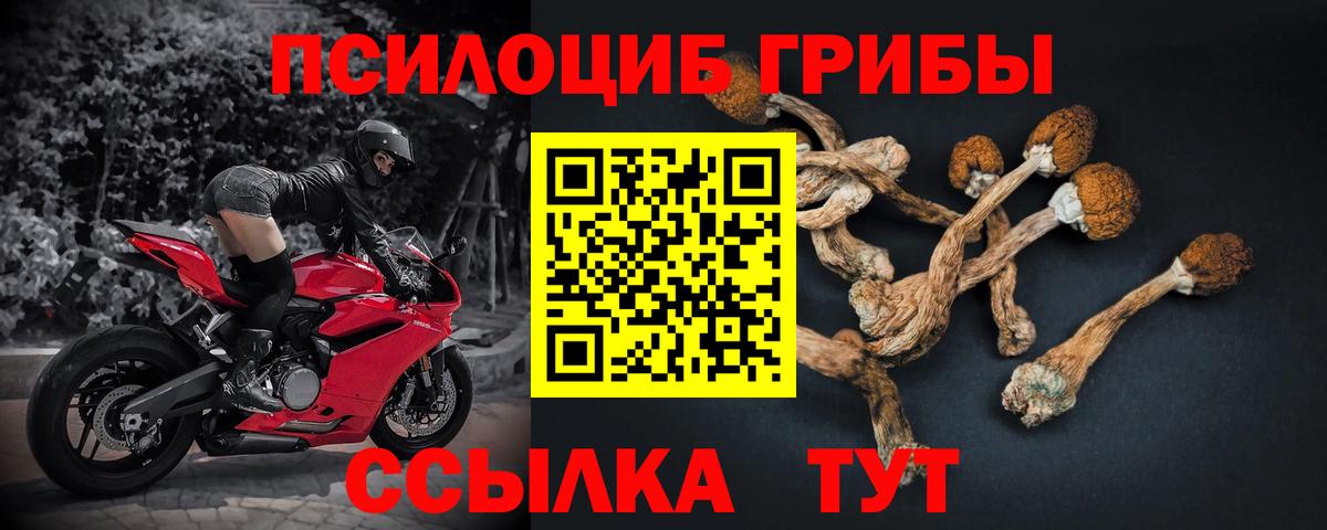 Галлюциногенные грибы MAGIC MUSHROOMS Костомукша